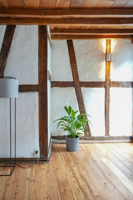 Apartment Charmante Fachwerk Mit Terrasse In Der Altstadt
