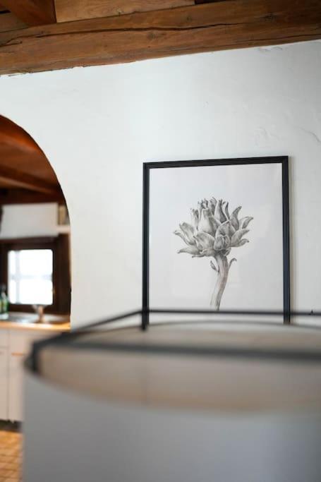 Appartement Charmante Fachwerk Mit Terrasse In Der Altstadt *